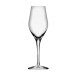 Sense Sparkling Champagneglas 6-pack