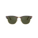Solglasögon Clubmaster Mock Tortoise On Arista