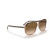 Solglasögon  Bill Havana On Transparent Brown