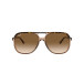Solglasögon  Bill Havana On Transparent Brown