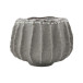 Kruka Shell
