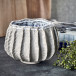 Kruka Shell