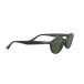Solglasögon 0RB4315 Black, Dark Green